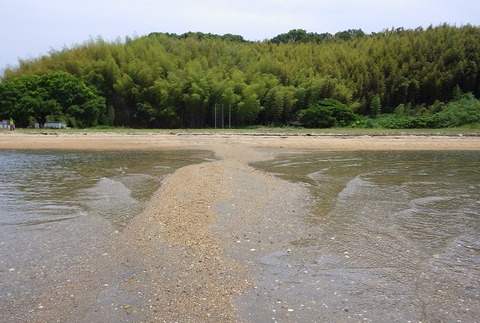 WG3_9763