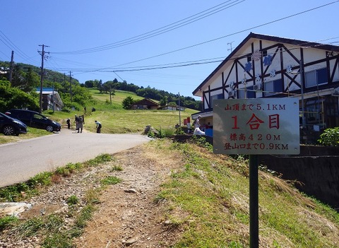 WG3_6384