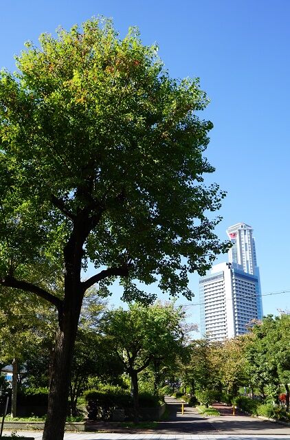 DSC00401