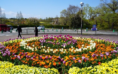 1-DSC04634