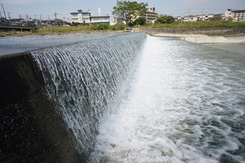 DSC00380