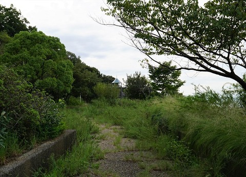 DSC01846