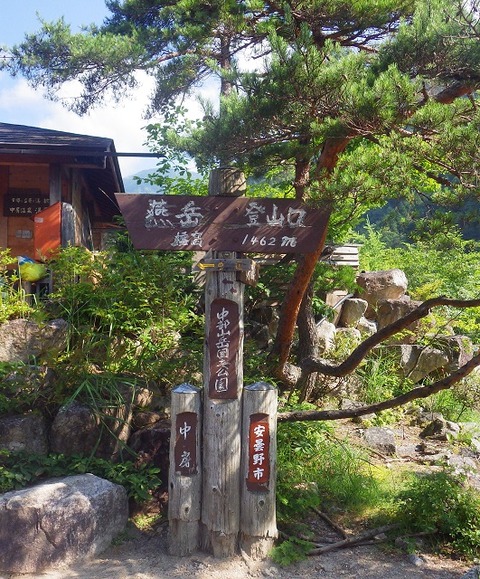 WG3_3537