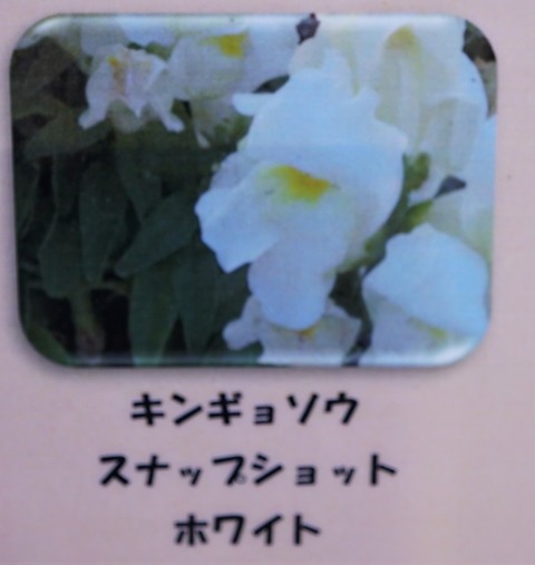 ALP01632
