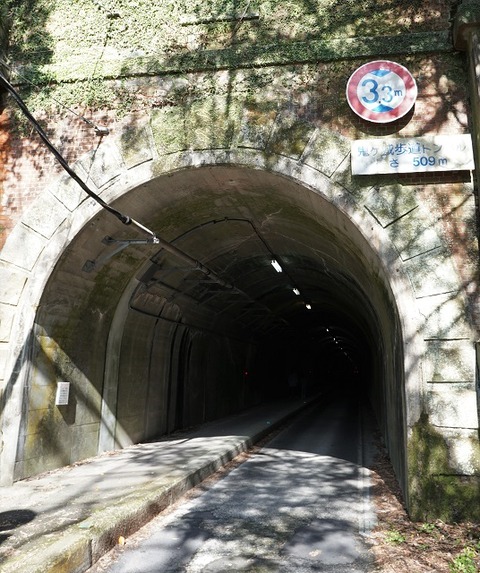 ALP02806