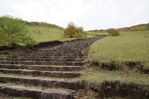 DSC05358