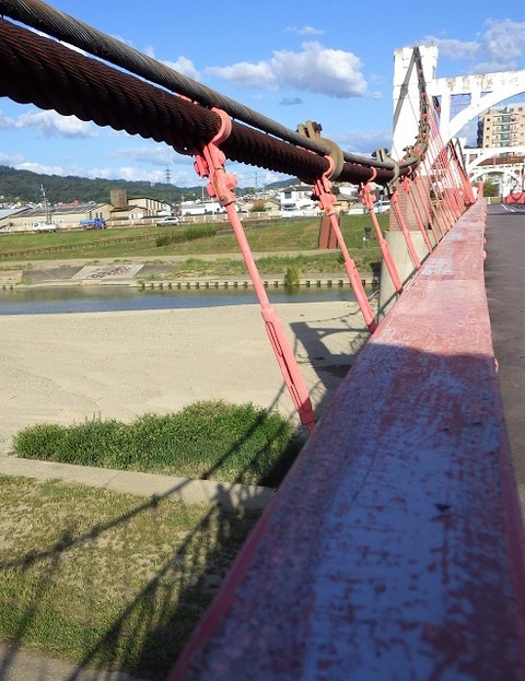 WG3_7021