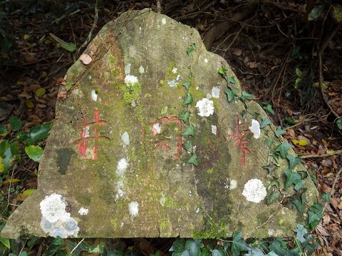 WG3_3981