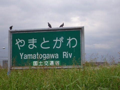 WG3_0601