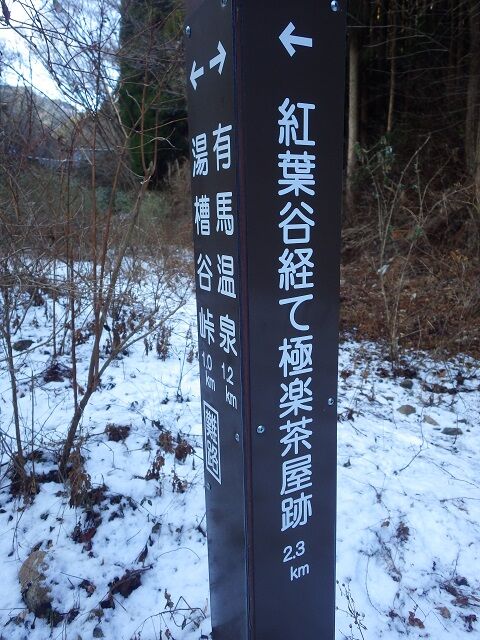 WG3_8007