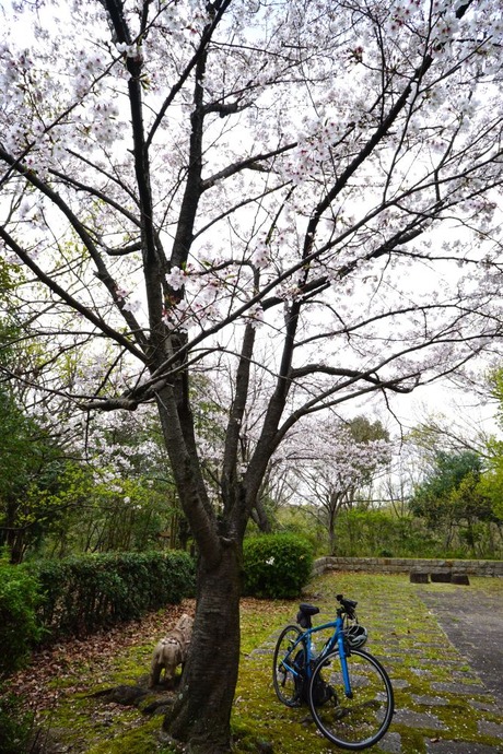 1-DSC02123