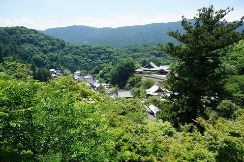 DSC00053