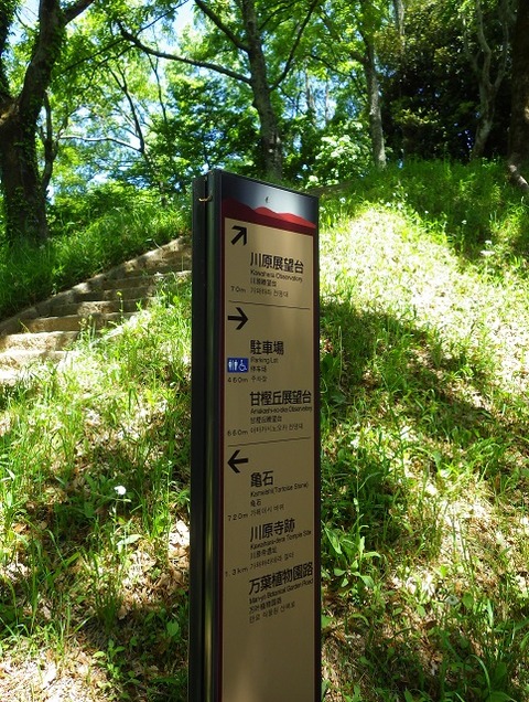 WG3_5936