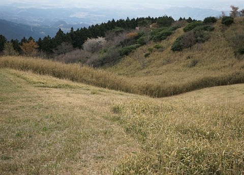 ALP04012