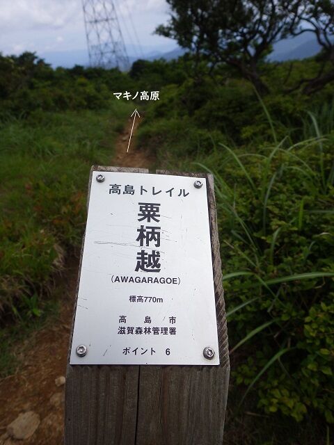 WG3_9934