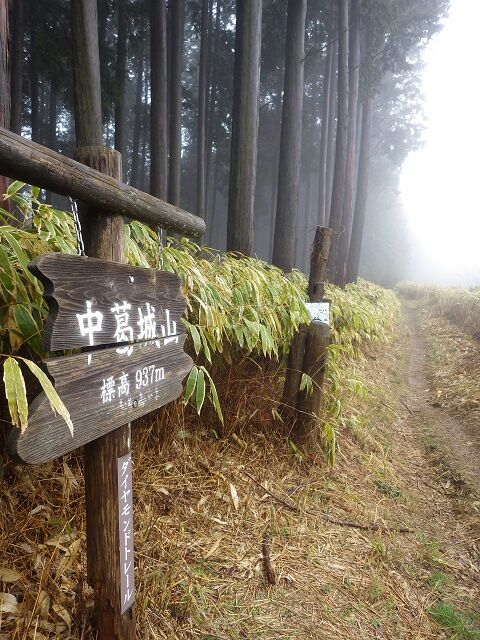 WG3_4856