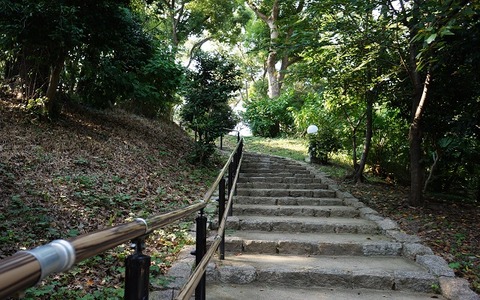 DSC00916