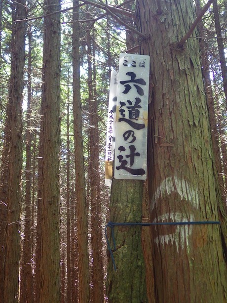 WG3_2984