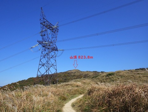 WG3_7286