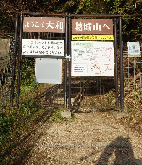 WG3_3857