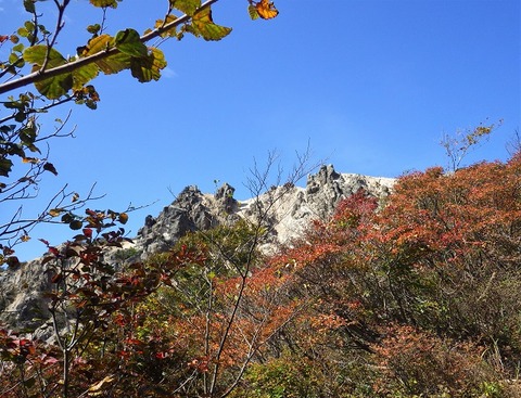 WG3_7309