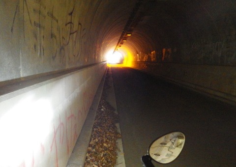 WG3_5494