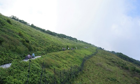 DSC04793