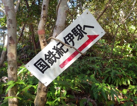 WG3_7701
