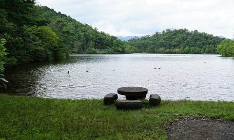 DSC01135