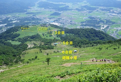 WG3_3035