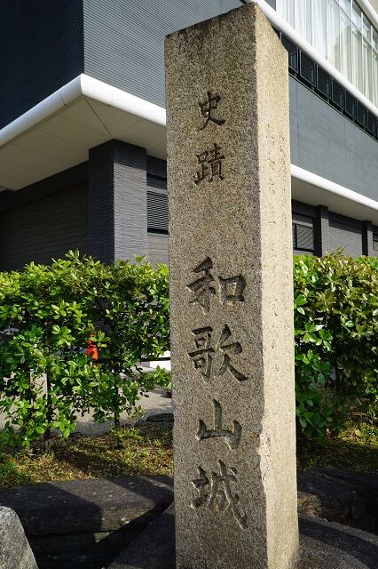 DSC03246