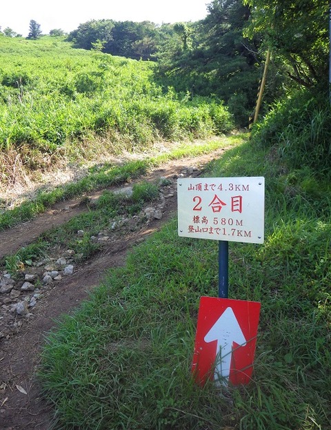 WG4_6695