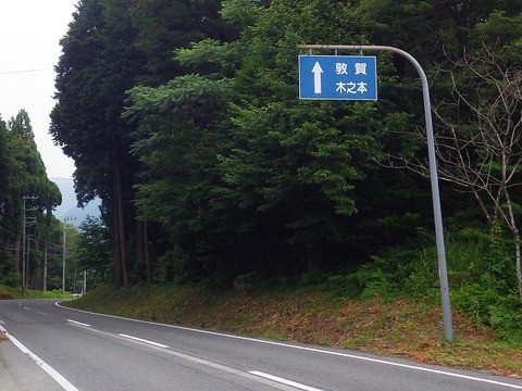 WG3_2742
