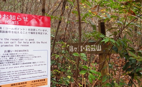 WG3_7562