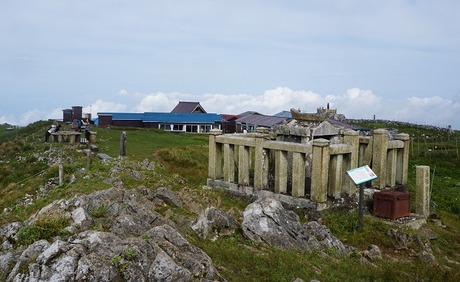 DSC02247