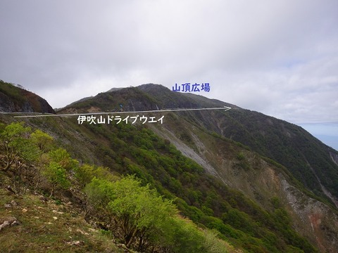 WG3_2179
