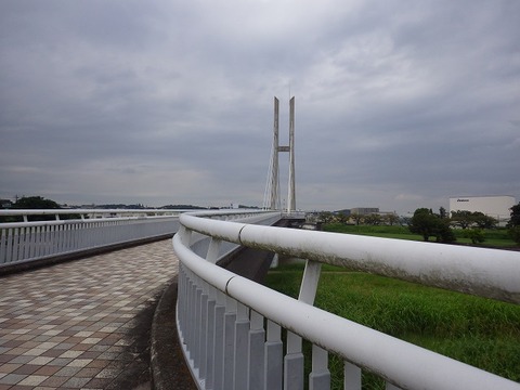 WG3_0598
