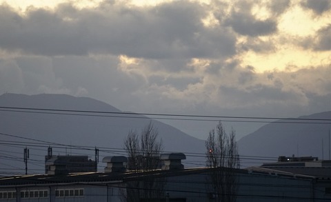 ALP05194