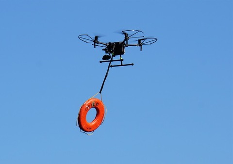 ALP06548