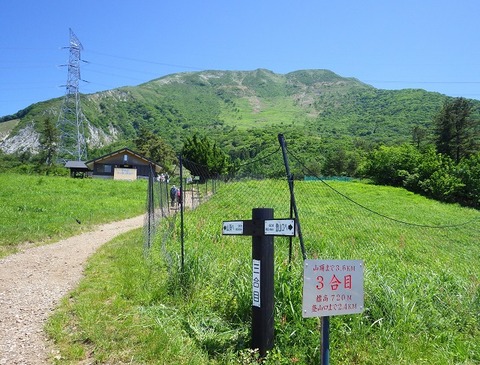 WG3_6386