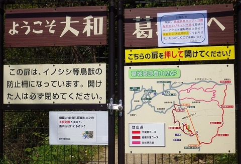WG3_5605