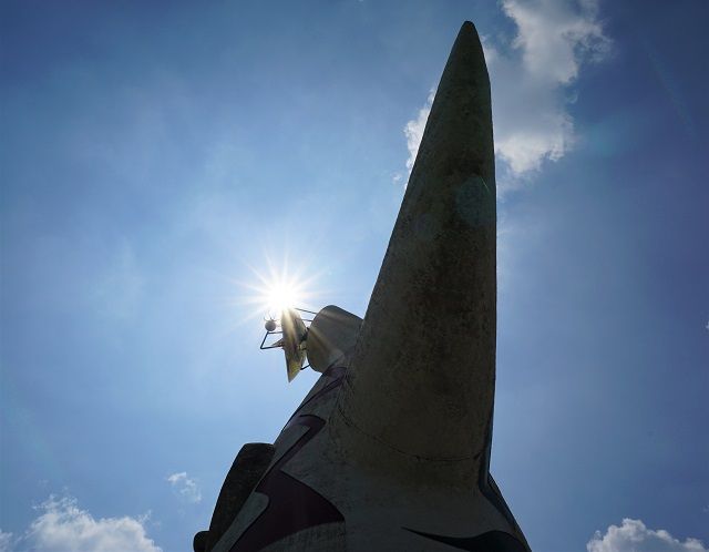 山とカヌーの休日 万博公園探訪 ３ あじさいの森と観覧車