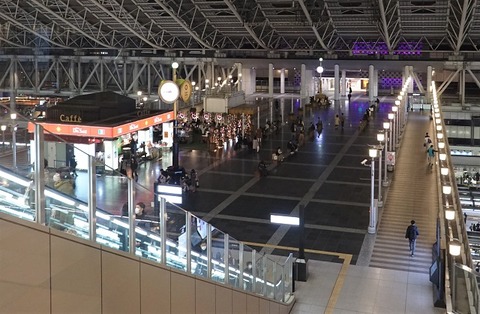 DSC04463 (2)