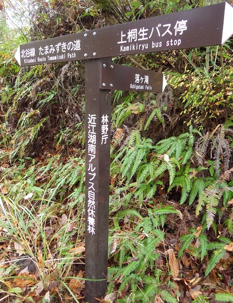 WG3_7560
