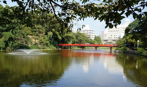 DSC00909