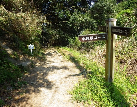 WG3_5708