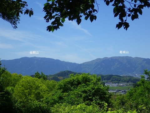 WG3_5955