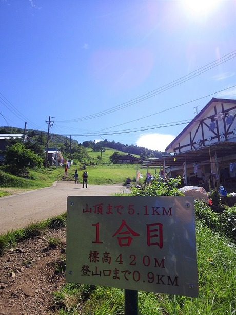 WG3_3026