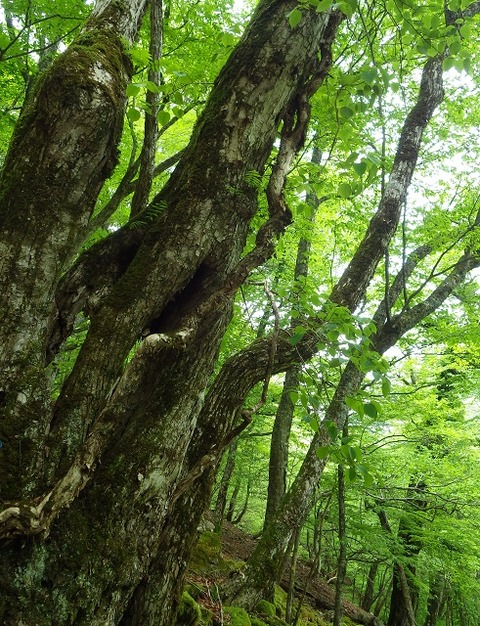 WG3_2510