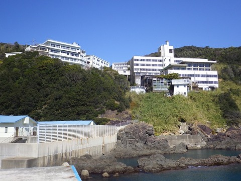 WG3_4348